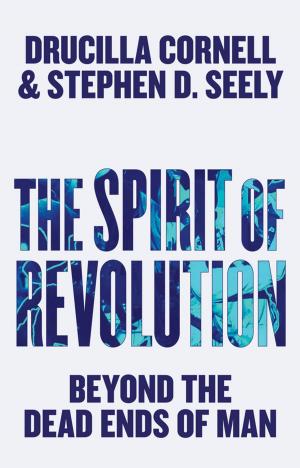 Cover of the book The Spirit of Revolution by 