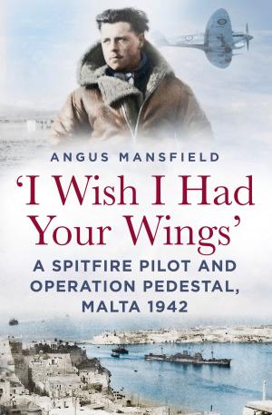 Cover of the book 'I Wish I Had Your Wings' by Paul Richey