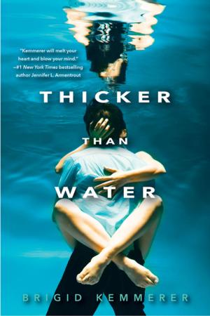 Cover of the book Thicker Than Water by Rachael Herron