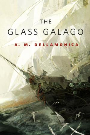 Book cover of The Glass Galago