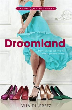 Book cover of Droomland