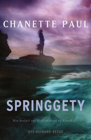 Cover of the book Springgety by Pieter Aspe