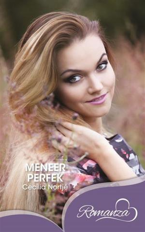 Cover of the book Meneer perfek by M.J. Silva