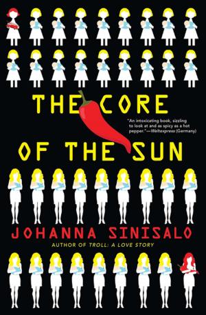 Book cover of The Core of the Sun