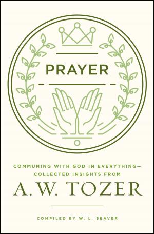 bigCover of the book Prayer by 