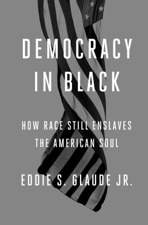 Cover of Democracy in Black