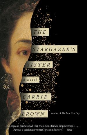 Cover of the book The Stargazer's Sister by Anton Chekhov