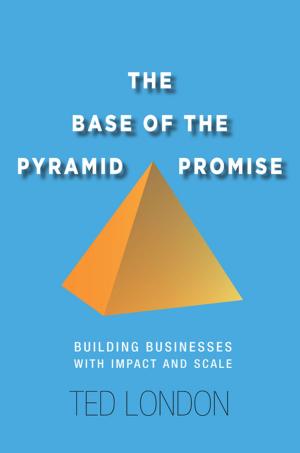Cover of the book The Base of the Pyramid Promise by Paul Chang