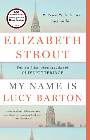 Cover of the book My Name Is Lucy Barton by Maxime Valette, Guillaume Passaglia, Didier Guedj