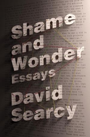 Cover of the book Shame and Wonder by Nancy Thayer