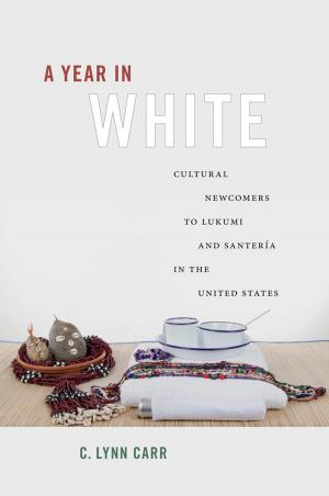 Cover of the book A Year in White by Laura L. Heinemann