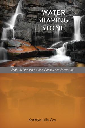 Cover of the book Water Shaping Stone by Cardinal Óscar Rodríguez Maradiaga, Fr. Antonio Carriero SDB