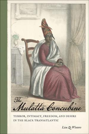 Book cover of The Mulatta Concubine