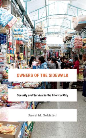 Cover of the book Owners of the Sidewalk by Kath Weston
