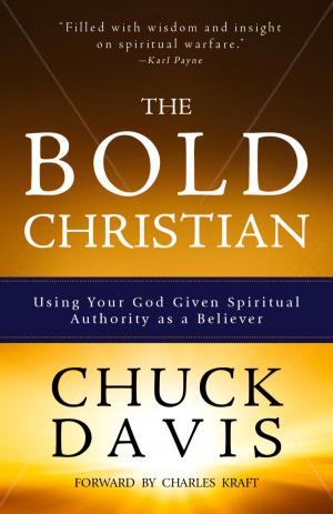 Book cover of The Bold Christian