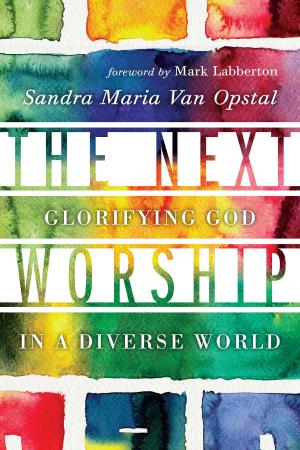 bigCover of the book The Next Worship by 