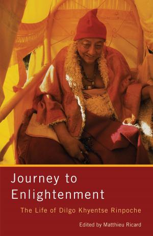 Cover of the book Journey to Enlightenment by Sarah Harding