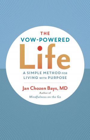 Cover of the book The Vow-Powered Life by Rabbi Nilton Bonder