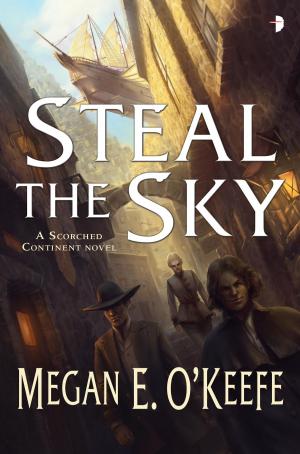 Cover of the book Steal the Sky by Lynda Field