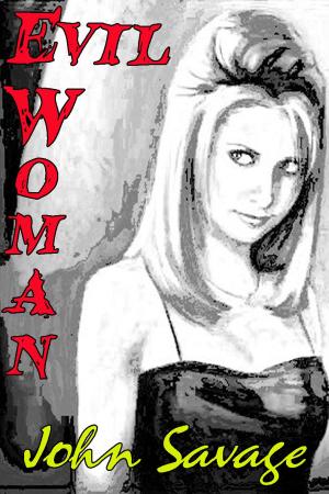 Cover of the book Evil Woman by Clare Seven