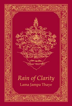 Cover of the book Rain of Clarity by Eric Van Horn