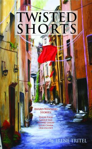 bigCover of the book Twisted Shorts by 