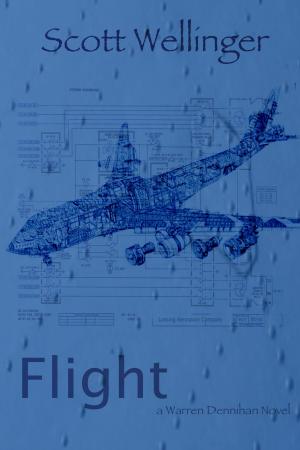 Cover of the book Flight by DB Jackson