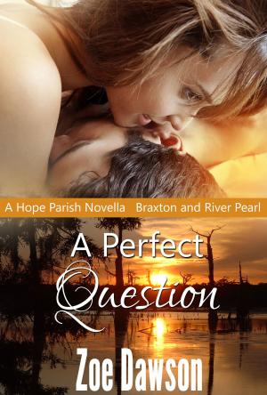 Book cover of A Perfect Question