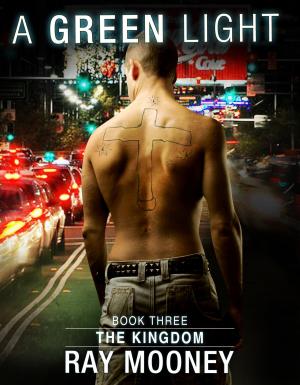 Cover of the book A Green Light: Book 3: The Kingdom by Michael Mayo