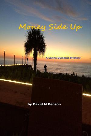 Cover of the book Money Side Up by Randy Williams