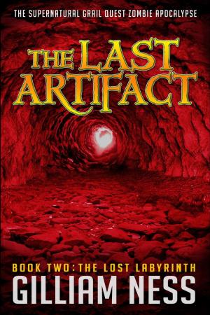 Book cover of The Lost Labyrinth