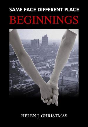 Cover of the book Beginnings by Paul Stegweit