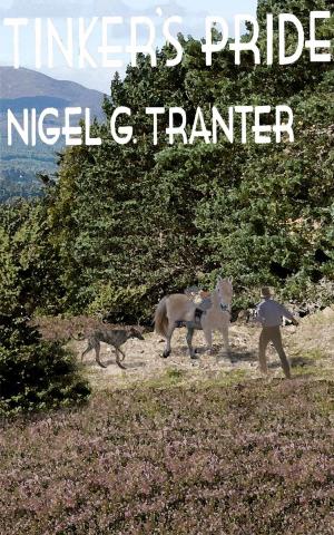 Cover of the book Tinker's Pride by Nigel Tranter