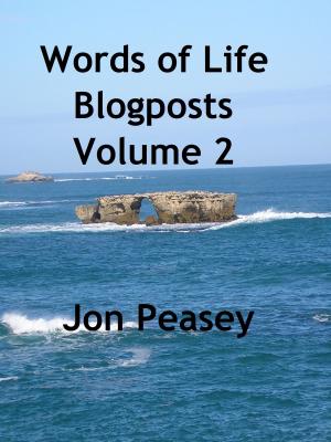 Book cover of Words of Life Blogposts Volume 2