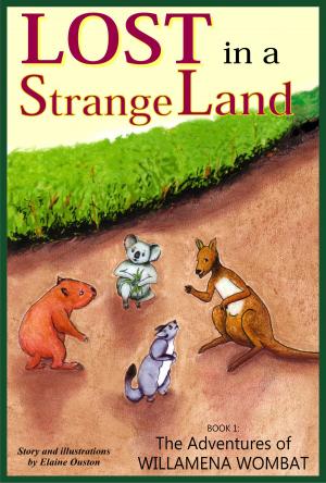 bigCover of the book Lost in a Strange Land by 