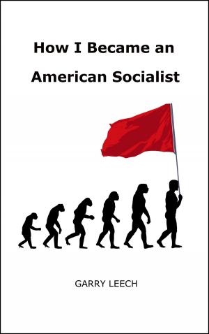 Book cover of How I Became an American Socialist