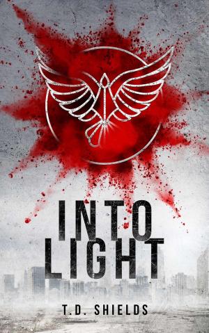 Cover of Into Light