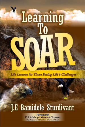 Cover of the book Learning to Soar by Bobby Perry