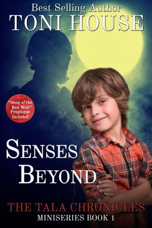 Cover of the book Senses Beyond by Nicky Drayden