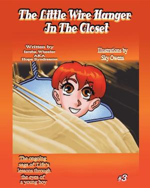 Book cover of The Little Wire Hanger in the Closet