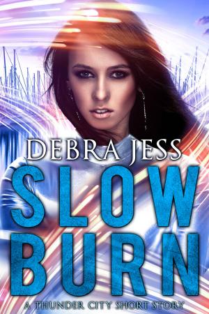 Cover of the book Slow Burn by L. Rigdon