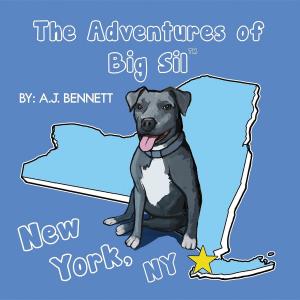 Book cover of The Adventures of Big Sil New York, NY