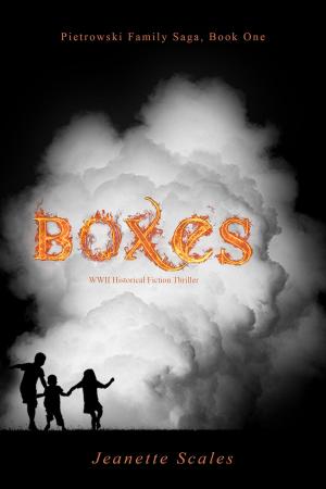 Cover of the book Boxes by Robert S. Levinson