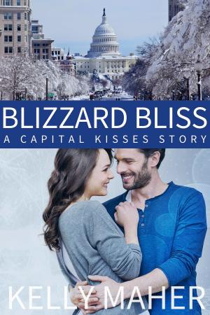 Book cover of Blizzard Bliss