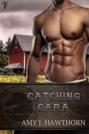 Book cover of Catching Cara
