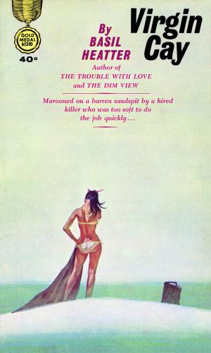Cover of the book Virgin Cay by R.J. Jagger