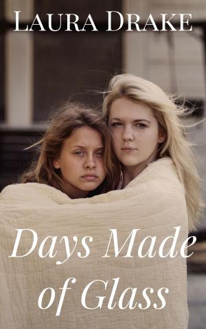 Book cover of Days Made of Glass
