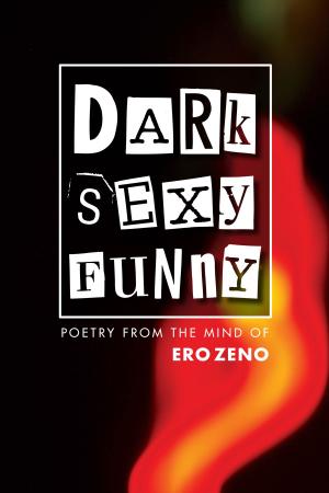 Cover of the book Dark Sexy Funny by Marie O'Byrne