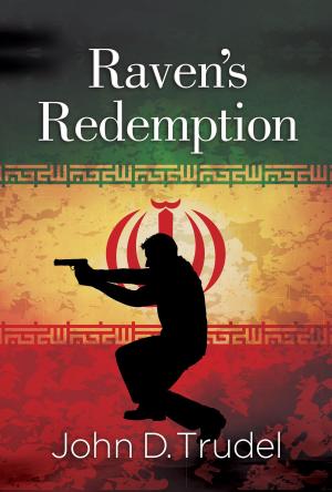 Book cover of Raven's Redemption