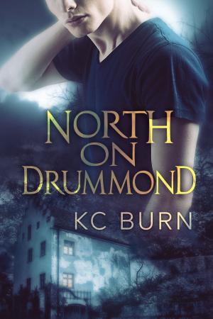 Cover of the book North on Drummond by Abigail Owen
